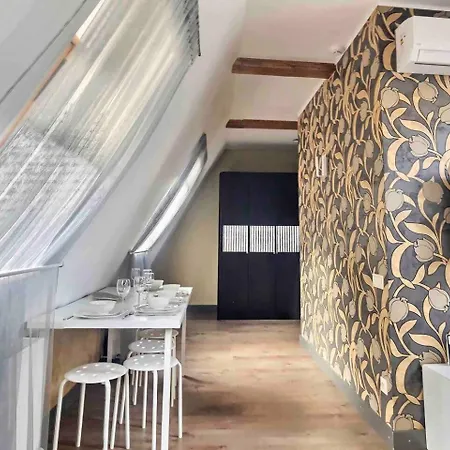 Luxurious Old Apartment Riga